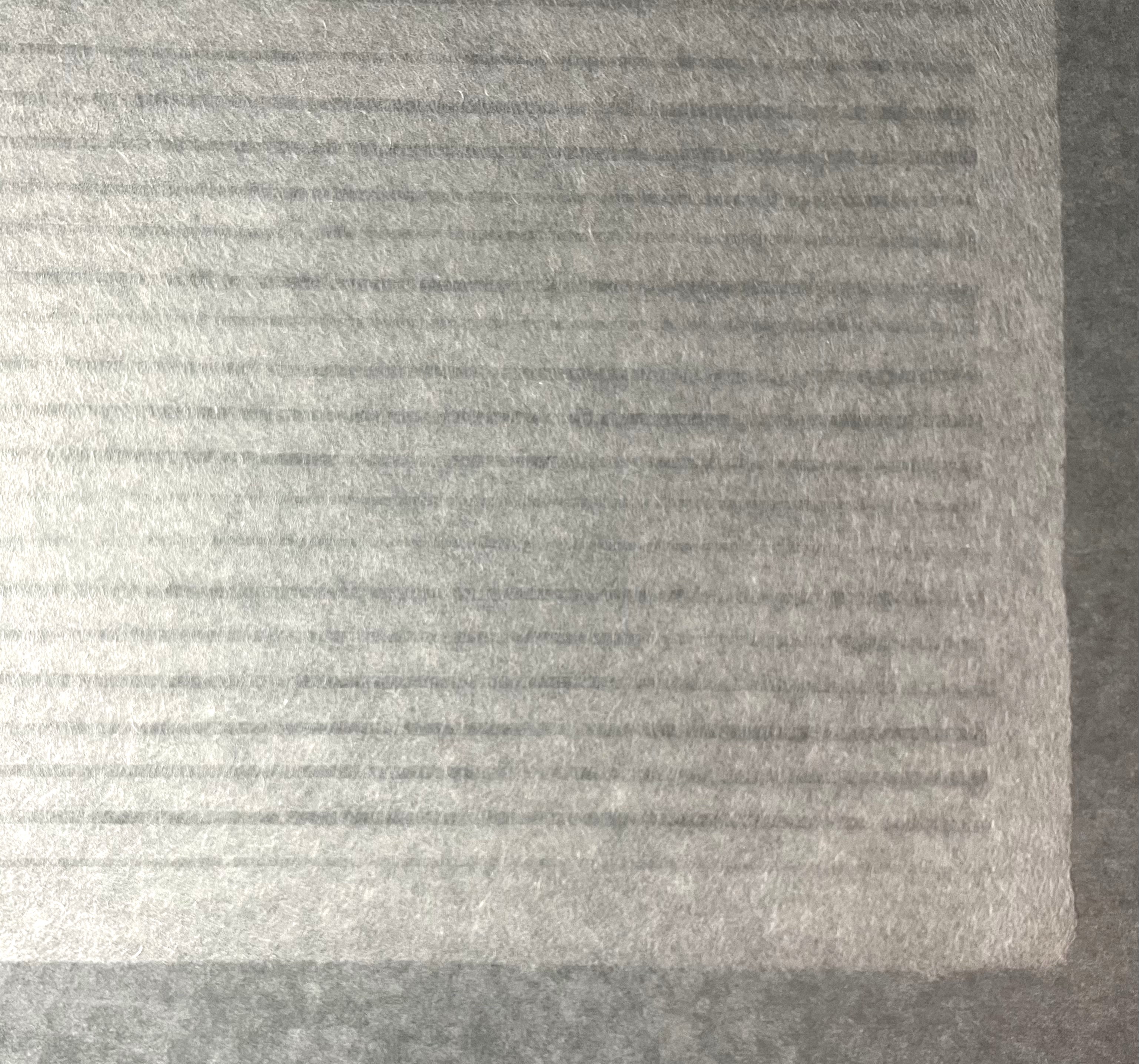 Alternative view of Berlin Tissue Strips - Sheet